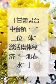 甘肃灵台中台镇：“三位一体”激活集体经济“一池春水”
