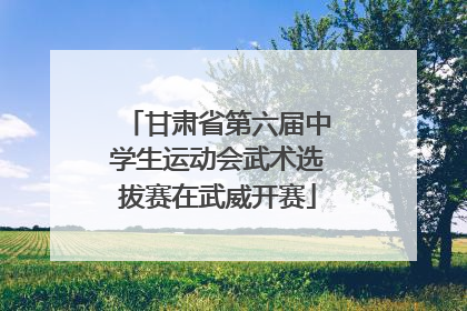 甘肃省第六届中学生运动会武术选拔赛在武威开赛