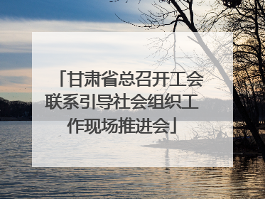甘肃省总召开工会联系引导社会组织工作现场推进会
