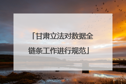 甘肃立法对数据全链条工作进行规范