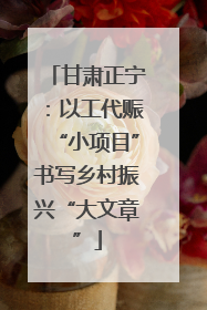 甘肃正宁：以工代赈“小项目”书写乡村振兴“大文章”