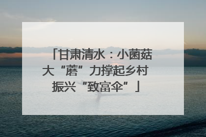 甘肃清水：小菌菇大“蘑”力撑起乡村振兴“致富伞”