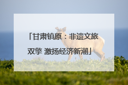甘肃镇原：非遗文旅双擎 激扬经济新潮