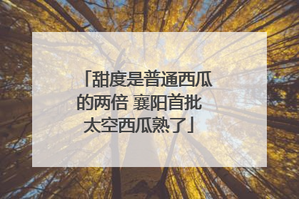 甜度是普通西瓜的两倍 襄阳首批太空西瓜熟了
