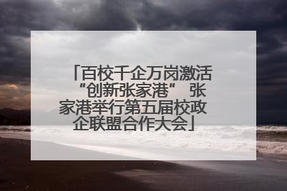 百校千企万岗激活“创新张家港” 张家港举行第五届校政企联盟合作大会