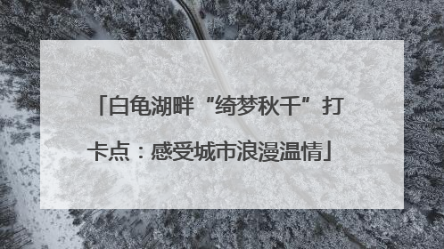 白龟湖畔“绮梦秋千”打卡点：感受城市浪漫温情