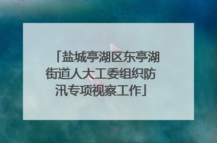 盐城亭湖区东亭湖街道人大工委组织防汛专项视察工作