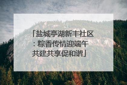盐城亭湖新丰社区：粽香传情迎端午 共建共享促和谐