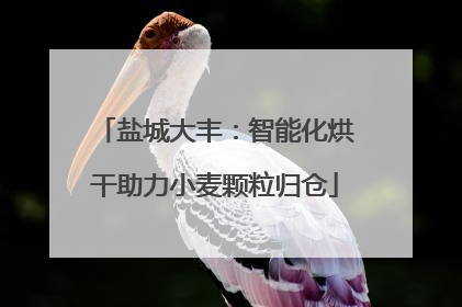 盐城大丰：智能化烘干助力小麦颗粒归仓