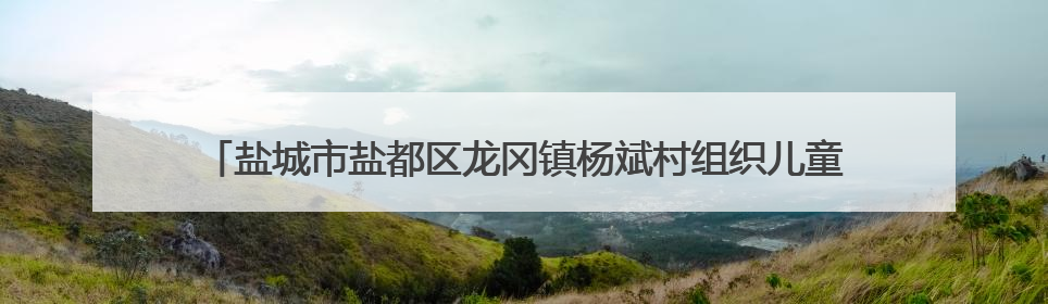 盐城市盐都区龙冈镇杨斌村组织儿童参观杨斌烈士纪念馆，传承红色基因