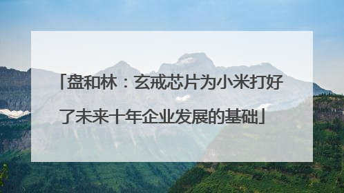 盘和林：玄戒芯片为小米打好了未来十年企业发展的基础
