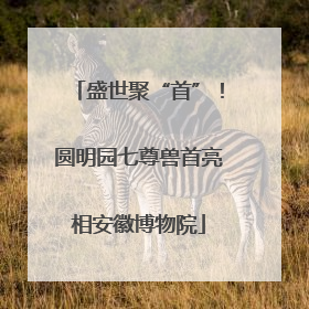 盛世聚“首”！圆明园七尊兽首亮相安徽博物院