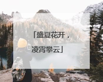 盛夏花开，凌霄攀云