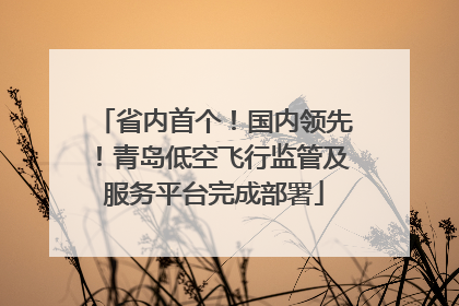 省内首个！国内领先！青岛低空飞行监管及服务平台完成部署