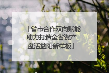 省市合作双向赋能 助力打造全省资产盘活益阳新样板