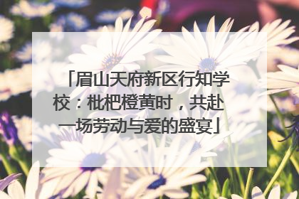 眉山天府新区行知学校：枇杷橙黄时，共赴一场劳动与爱的盛宴