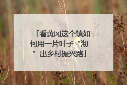 看黄冈这个镇如何用一片叶子“沏”出乡村振兴路