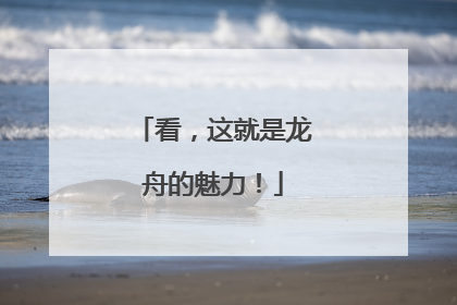 看，这就是龙舟的魅力！
