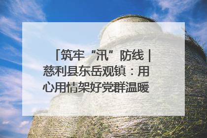 筑牢“汛”防线｜慈利县东岳观镇：用心用情架好党群温暖悠长的“连心桥”