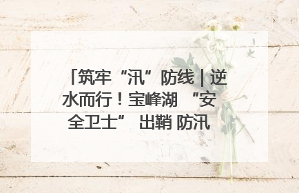 筑牢“汛”防线｜逆水而行！宝峰湖 “安全卫士” 出鞘 防汛应急再添硬核力量