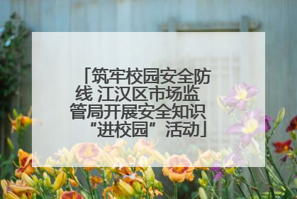 筑牢校园安全防线 江汉区市场监管局开展安全知识“进校园”活动