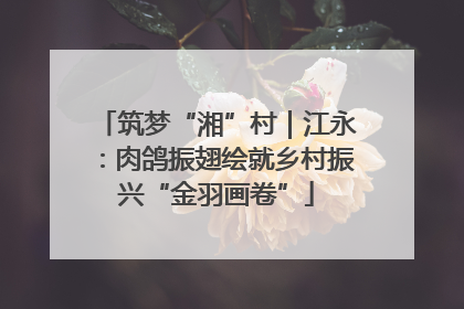 筑梦“湘”村｜江永：肉鸽振翅绘就乡村振兴“金羽画卷”