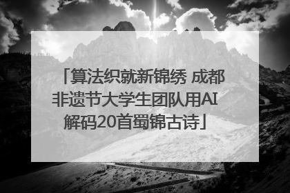 算法织就新锦绣 成都非遗节大学生团队用AI解码20首蜀锦古诗
