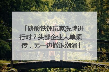 磷酸铁锂玩家洗牌进行时？头部企业大单频传，另一边撤退潮涌