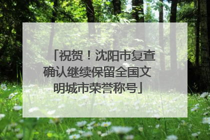 祝贺！沈阳市复查确认继续保留全国文明城市荣誉称号