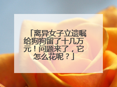 离异女子立遗嘱给狗狗留了十几万元！问题来了，它怎么花呢？