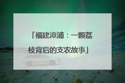 福建漳浦：一颗荔枝背后的支农故事