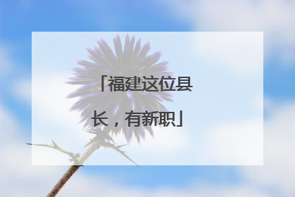 福建这位县长，有新职