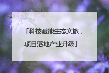 科技赋能生态文旅，项目落地产业升级