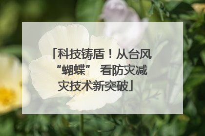 科技铸盾！从台风“蝴蝶” 看防灾减灾技术新突破