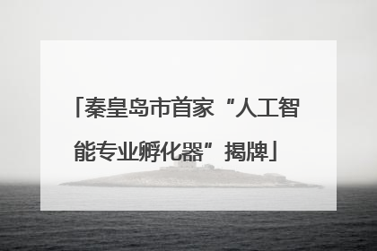 秦皇岛市首家“人工智能专业孵化器”揭牌