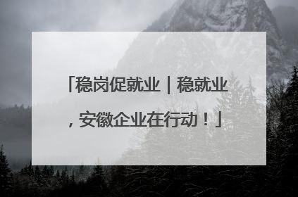 稳岗促就业｜稳就业，安徽企业在行动！