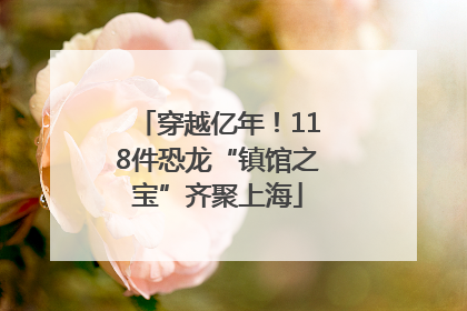 穿越亿年！118件恐龙“镇馆之宝”齐聚上海