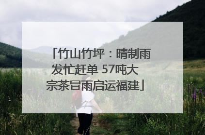 竹山竹坪：晴制雨发忙赶单 57吨大宗茶冒雨启运福建