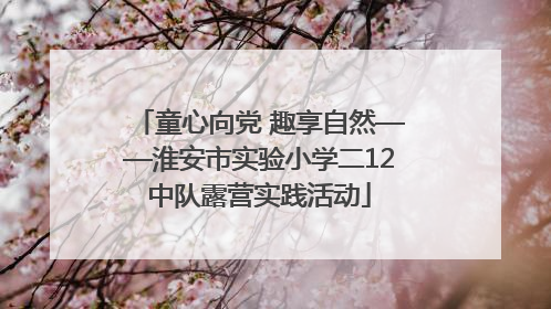 童心向党 趣享自然——淮安市实验小学二12中队露营实践活动