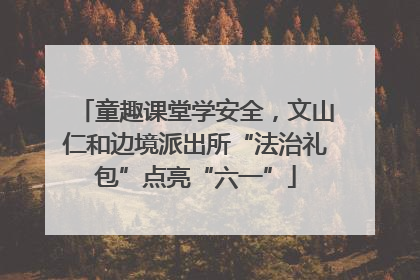 童趣课堂学安全，文山仁和边境派出所“法治礼包”点亮“六一”