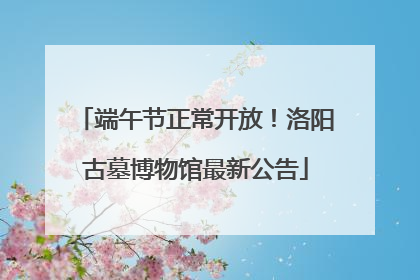 端午节正常开放！洛阳古墓博物馆最新公告