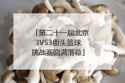 第二十一届北京3VS3街头篮球挑战赛圆满落幕