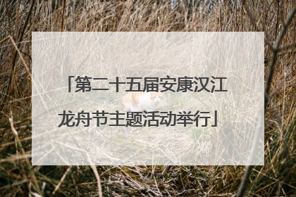 第二十五届安康汉江龙舟节主题活动举行