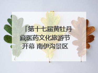 第十七届黄牡丹藏医药文化旅游节开幕 南伊沟景区重新开放