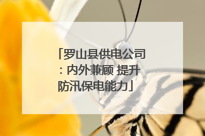 罗山县供电公司：内外兼顾 提升防汛保电能力