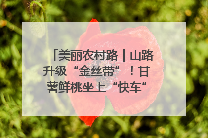 美丽农村路｜山路升级“金丝带”！甘薯鲜桃坐上“快车”，开去大市场