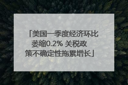 美国一季度经济环比萎缩0.2% 关税政策不确定性拖累增长