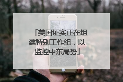 美国证实正在组建特别工作组，以监控中东局势