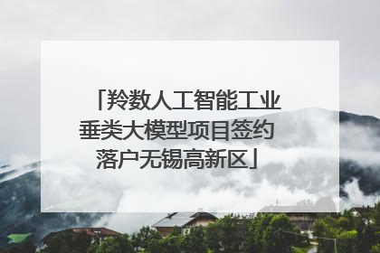 羚数人工智能工业垂类大模型项目签约落户无锡高新区