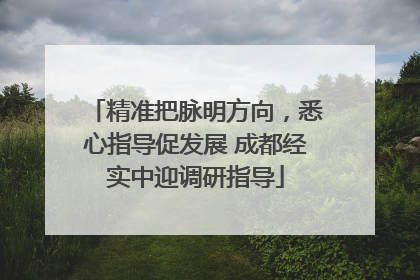 精准把脉明方向，悉心指导促发展 成都经实中迎调研指导